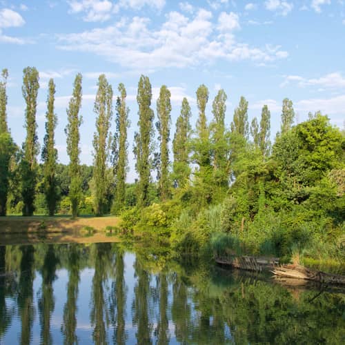 Immagine - e27e7fa5-1707-4284-9030-44b76660a2ac